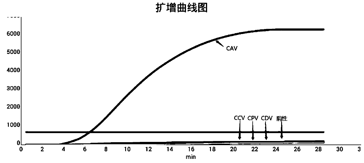 RPA primer pair, probe, kit and detection method for detection of canine adenoviruses