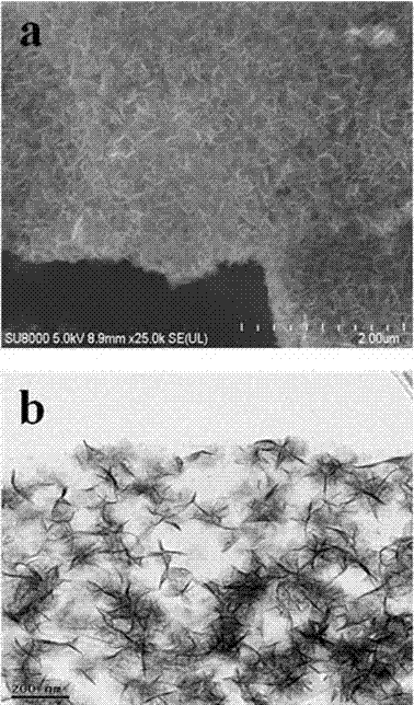 Reduced graphene oxide/ZnIn2S4 photocatalyst and preparation method and application thereof