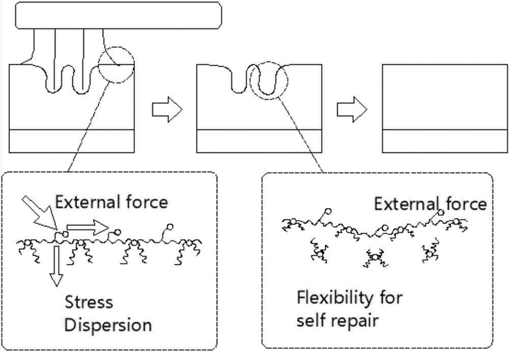 Preparation method and application of self-repaired membrane enhancing liquid