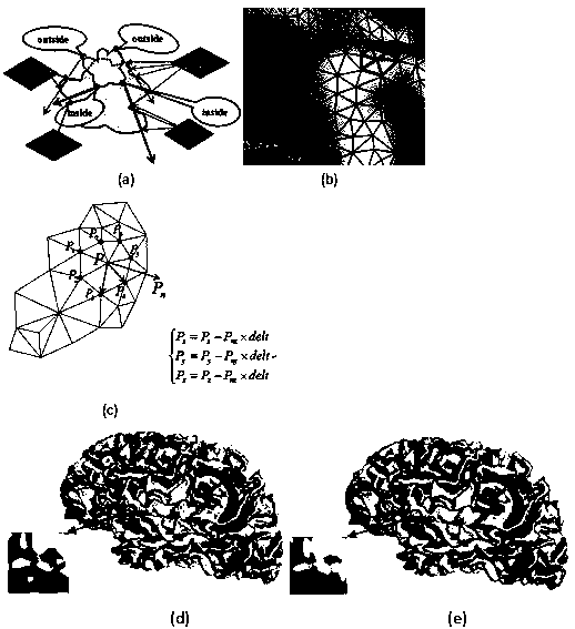 Cerebral cortex thickness estimation method based on three-dimensional Laplace operator