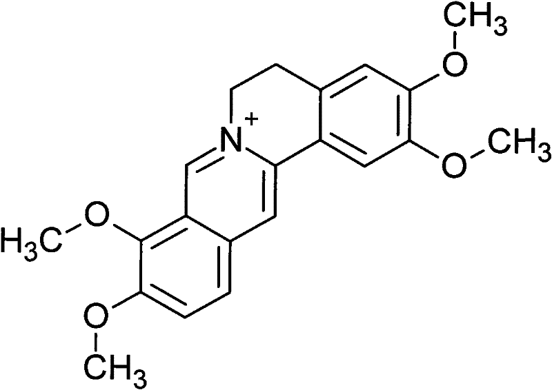 Application of palmatine in medicine for treating dengue virus infection