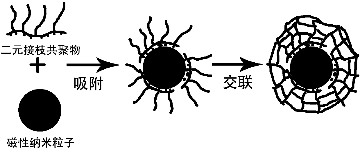 Temperature-responsive core-shell magnetic hydrogel nanoparticles and preparation method thereof