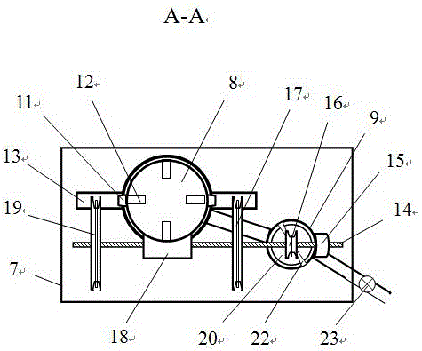 Sample irradiation device for neutron activation