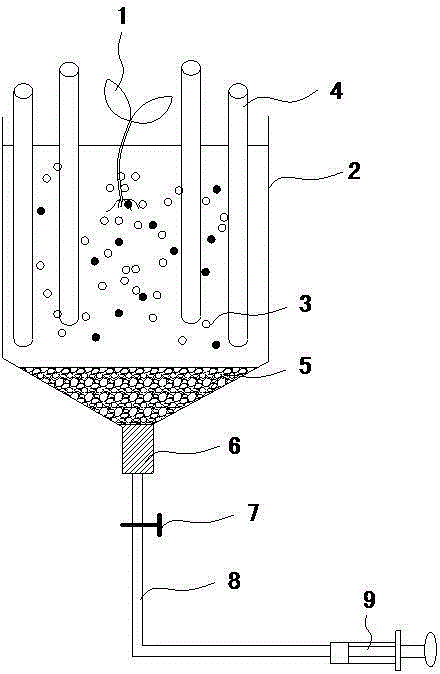 A device for collecting xerophyte root exudates and a collection method thereof