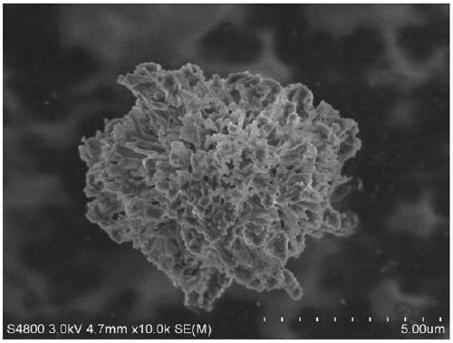 A kind of preparation method and application of oxygen-doped graphite phase carbon nitride ozone catalyst