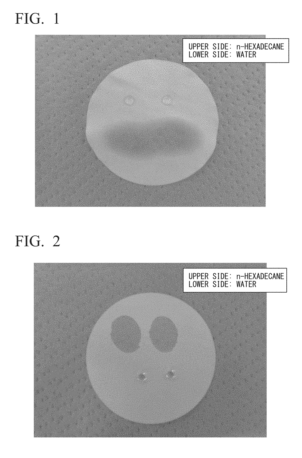Hydrophilic oil repellent and production method of same, surface coating material, coating film, resin composition, oil-water separation filter material, and porous body