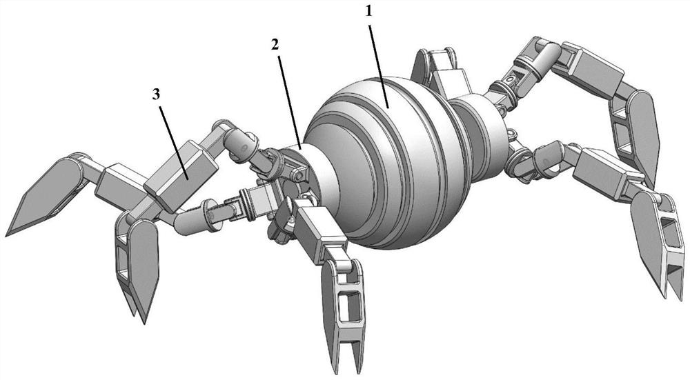 Bionic deformable hexapod robot