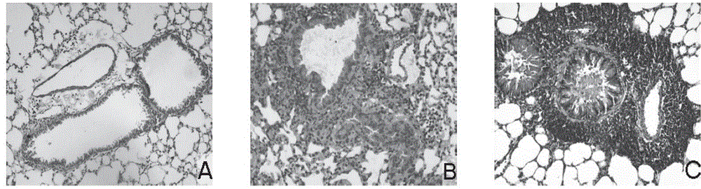 Method for constructing asthma model of nonhuman mammal