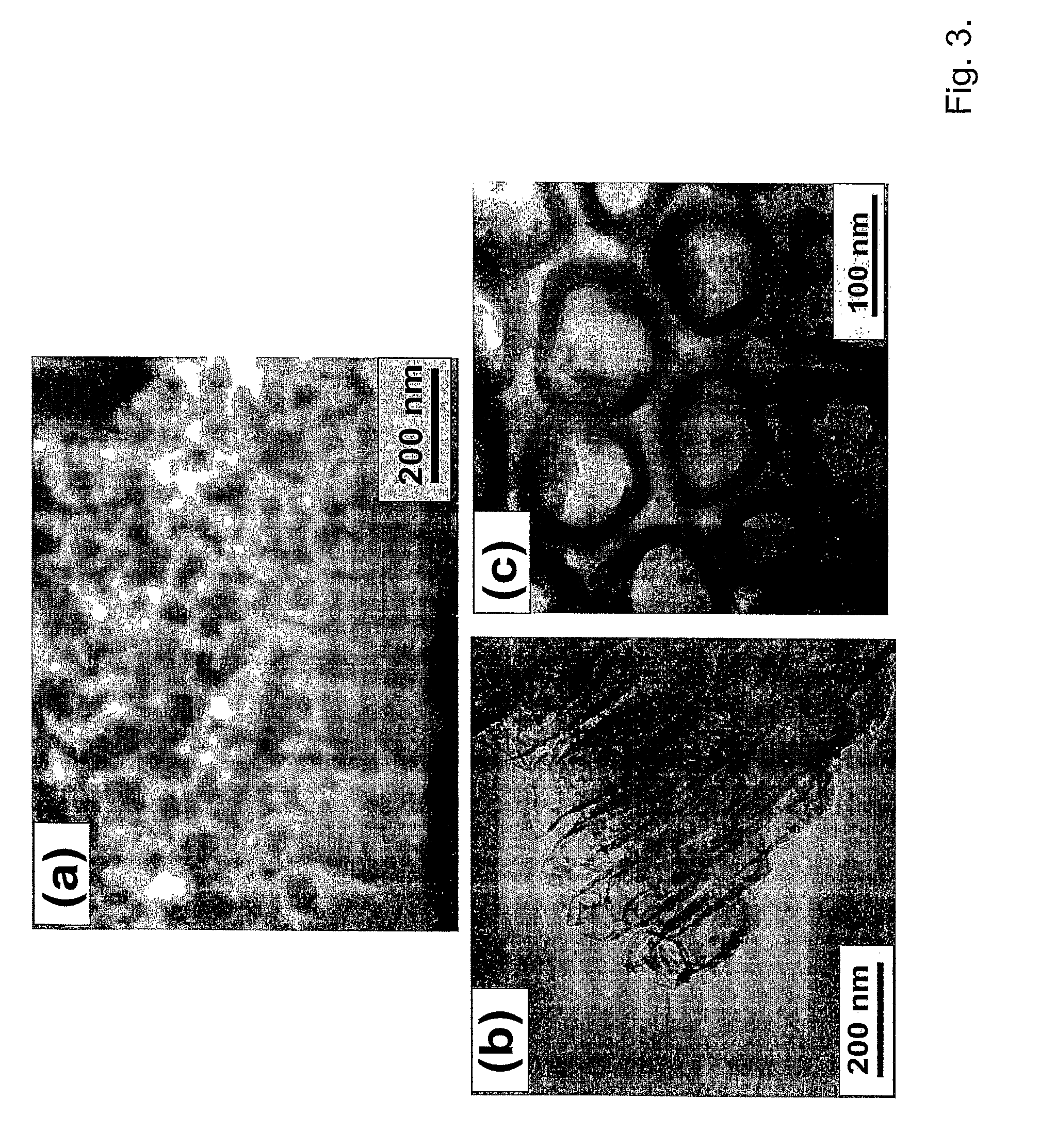 Compositions comprising nanostructures for cell, tissue and artificial organ growth, and methods for making and using same
