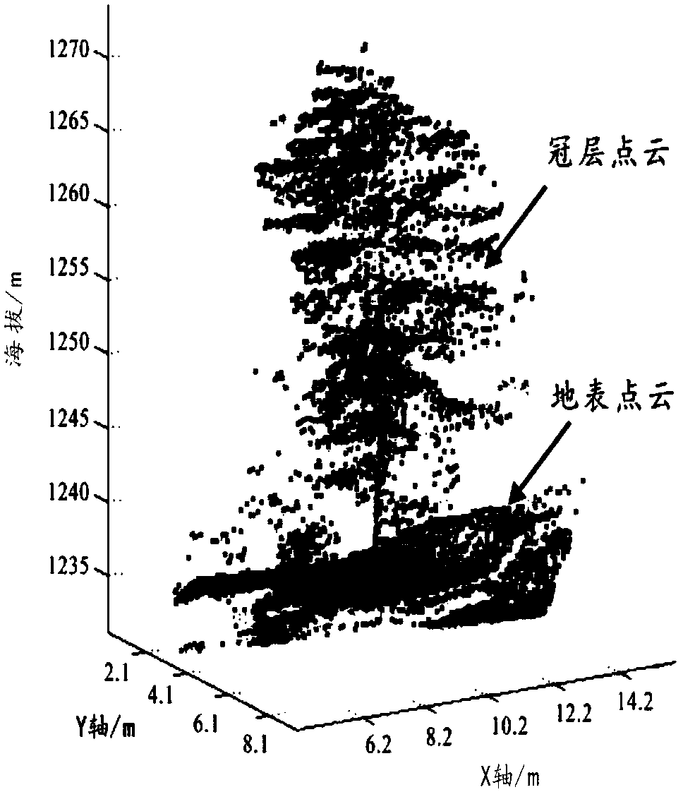 Forest gap solar radiation monitoring method based on laser radar