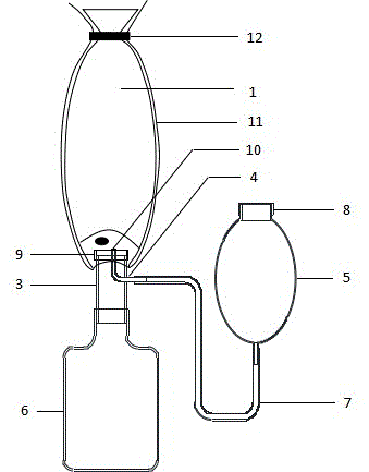 Oral incubation fish ovum picking-up device and method