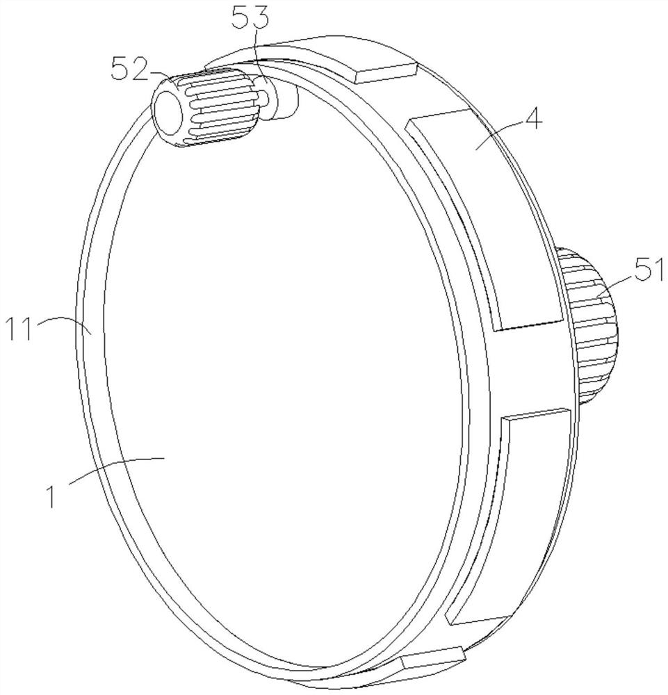 Medicament for treating dermatosis and preparation method thereof