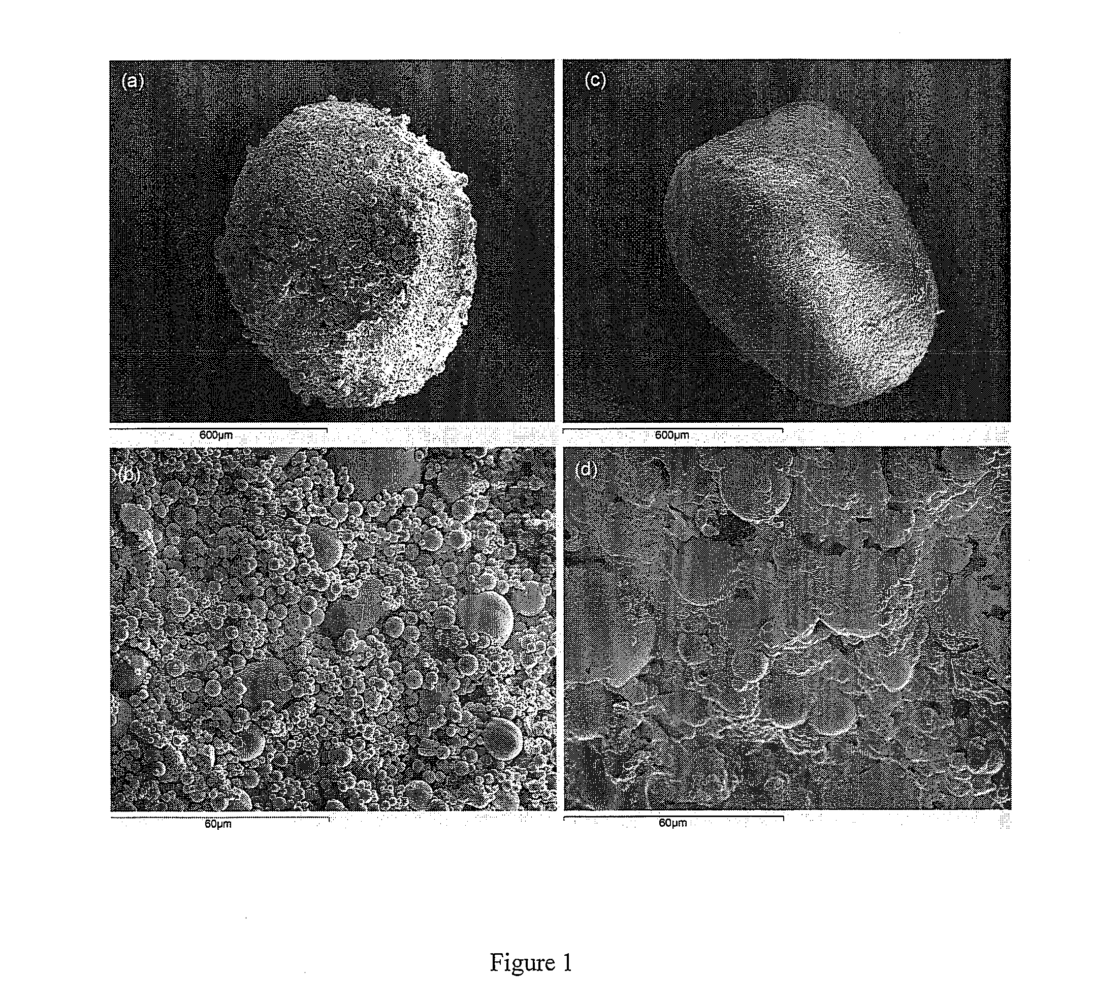 Compositions in powder form made of soft agglomerates of a micronized drug and of a two-components excipient, and process for their preparation