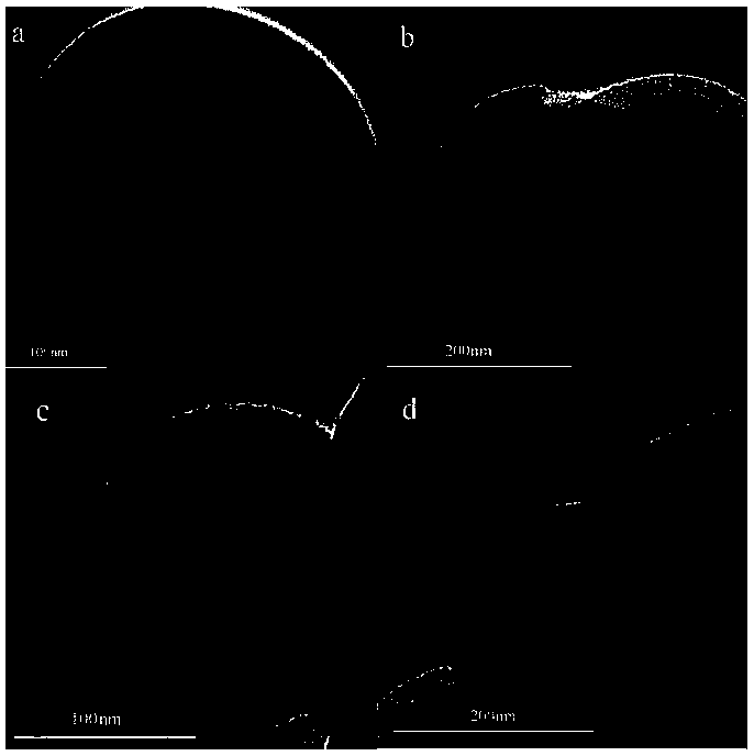 Preparation method of magnetic core-shell ionic liquid immobilized lipase and its application in edible oil processing