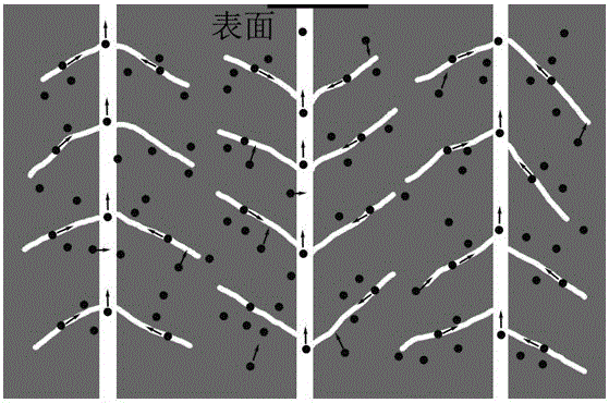 A kind of anti-radiation nanoporous membrane