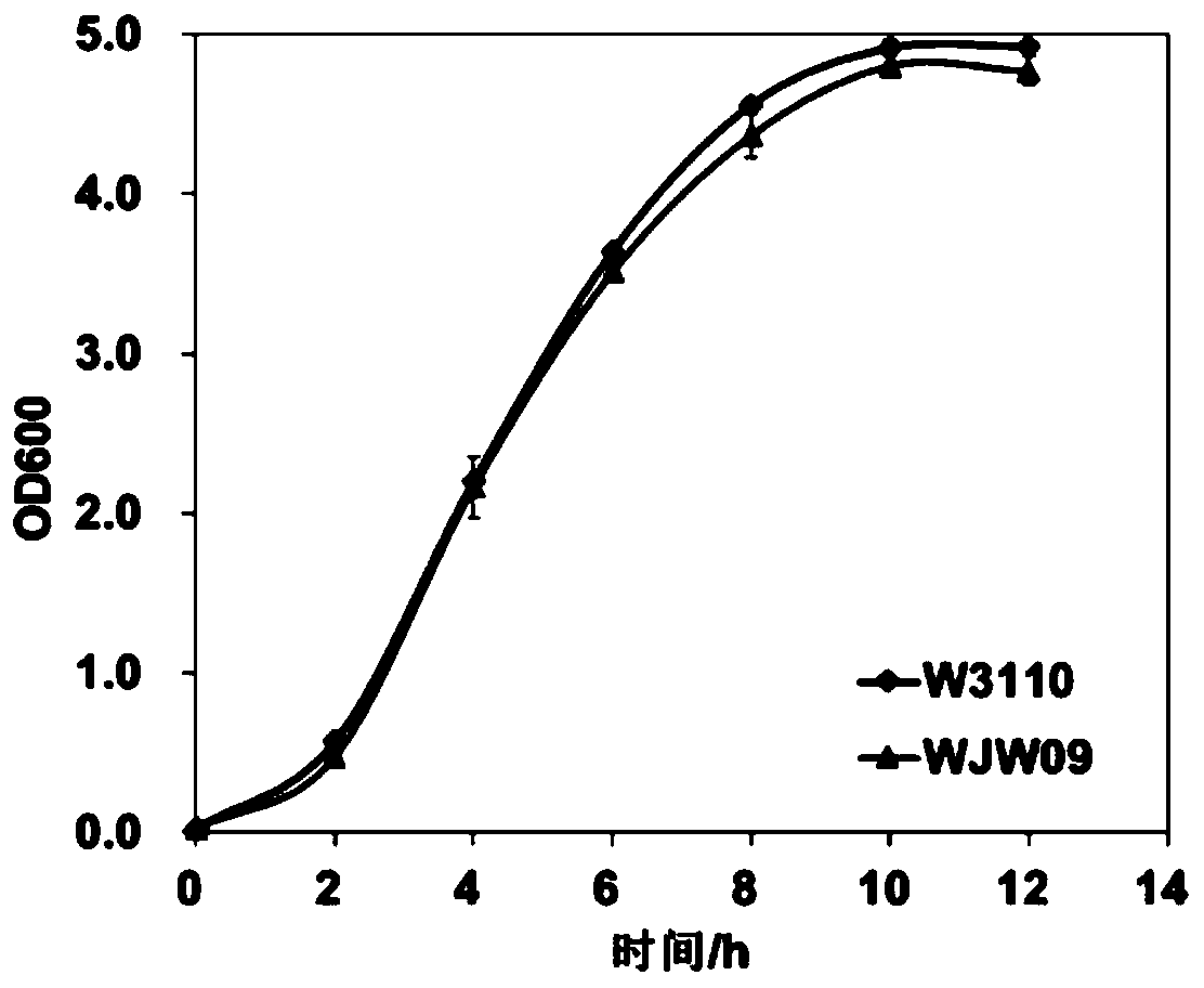 Genetically engineered bacterium with deficiency of 21 encoded exopolysaccharide synthetic genes and application thereof