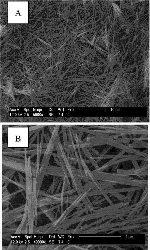 Method for preparing candied haw-shaped pure anatase type nano-titania wire in larger scale