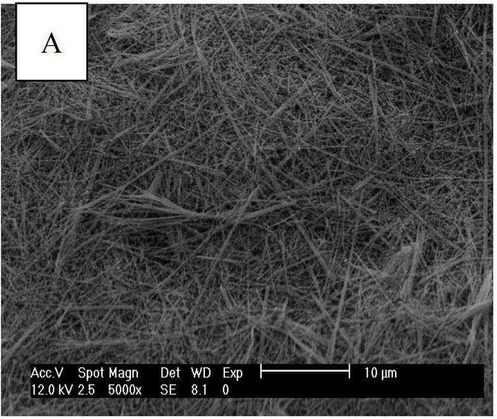 Method for preparing candied haw-shaped pure anatase type nano-titania wire in larger scale