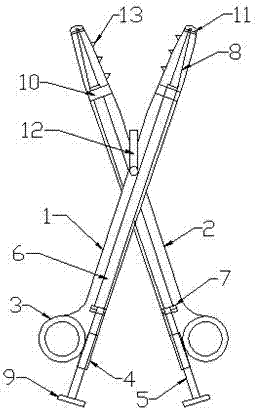Gynecological tumor extraction forceps with cutting apparatus