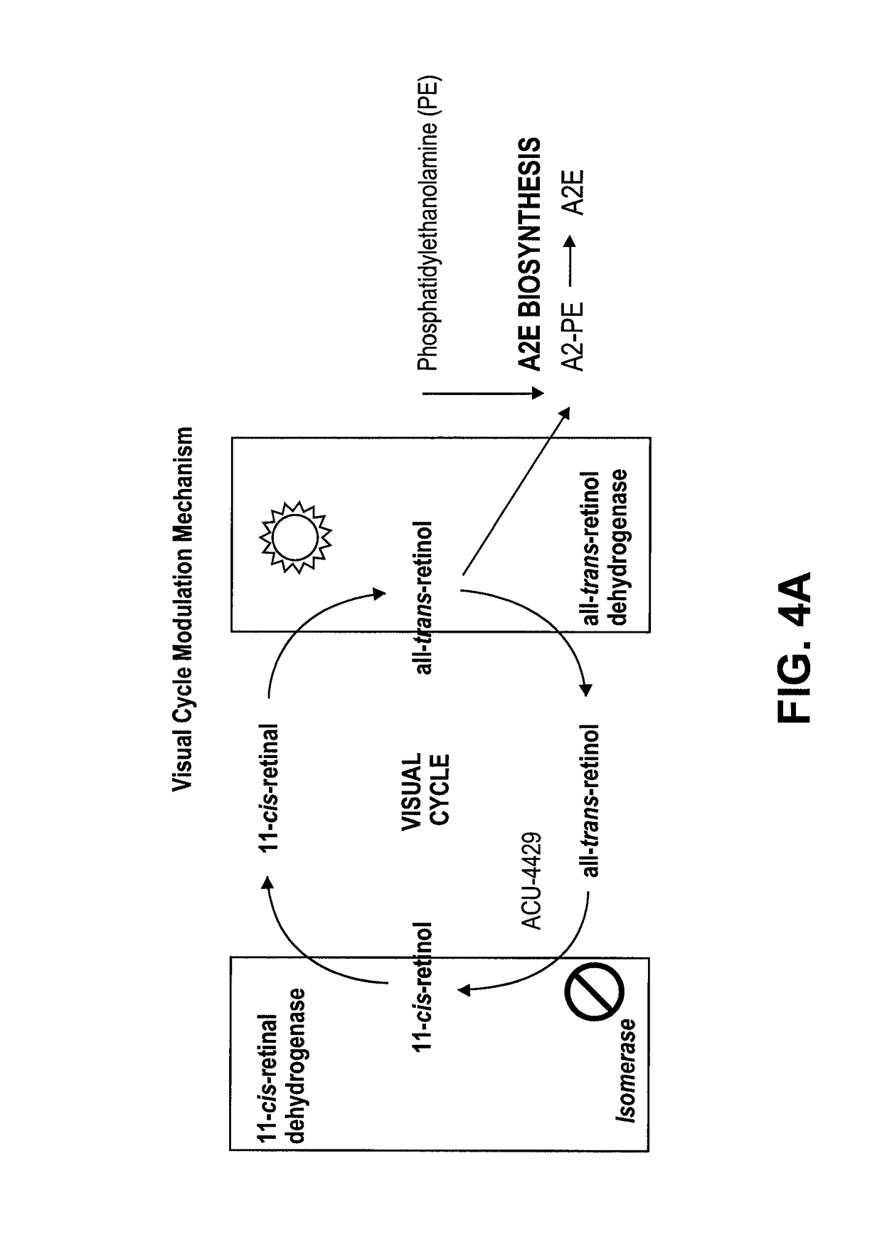 Methods for the treatment of diabetic retinopathy and other ophthalmic diseases