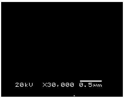 Preparation method of coated polyetherimide membrane and application of coating polyetherimide membrane to lithium sulfur battery