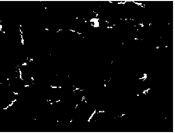 Preparation method of coated polyetherimide membrane and application of coating polyetherimide membrane to lithium sulfur battery