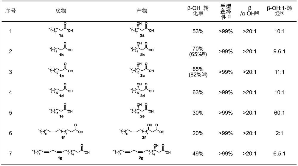 Artificial biocatalyst for converting fatty acid into beta-hydroxy fatty acid