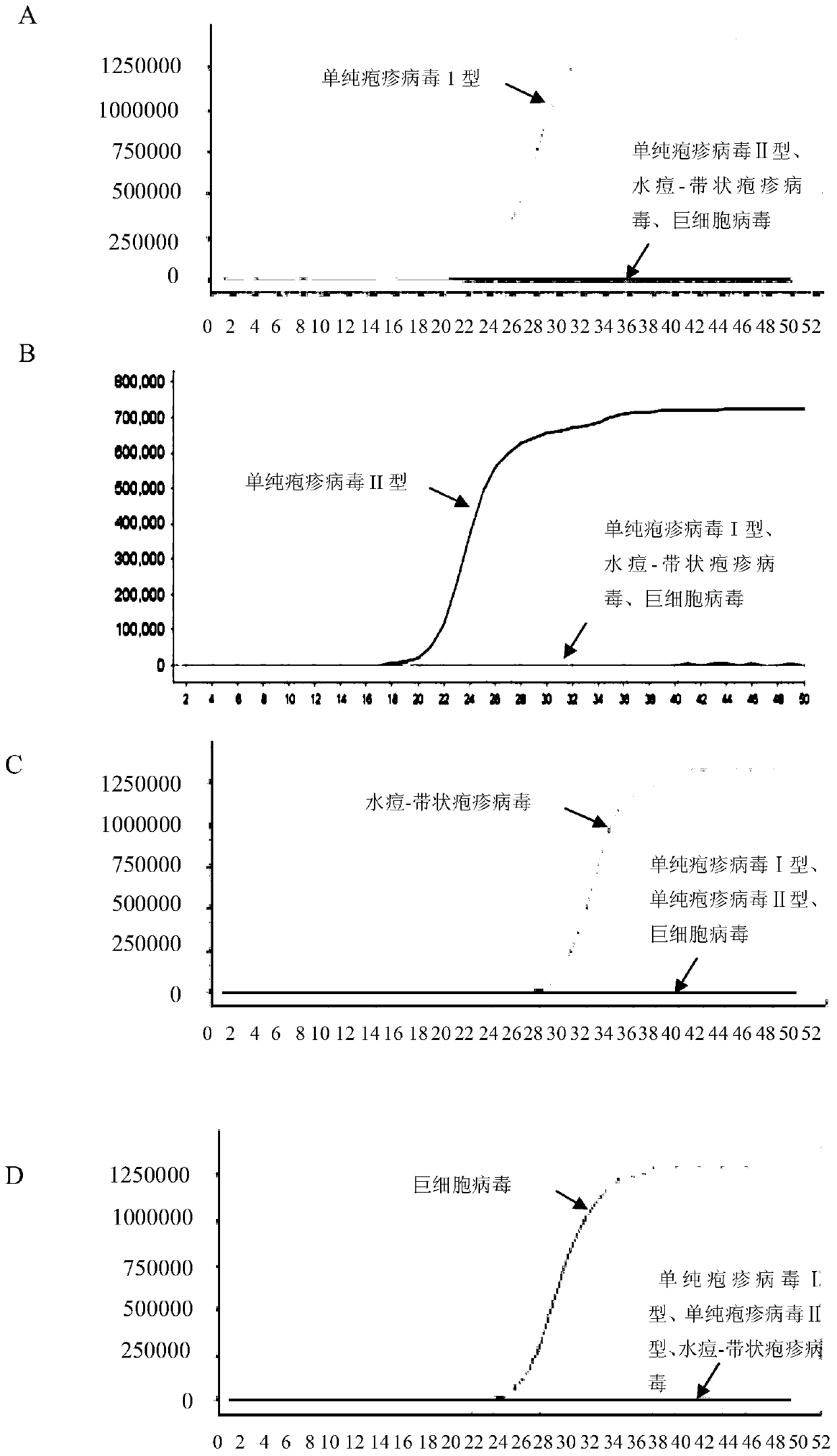 Combination and application of lamp primers for detection of 4 ophthalmic infection viruses