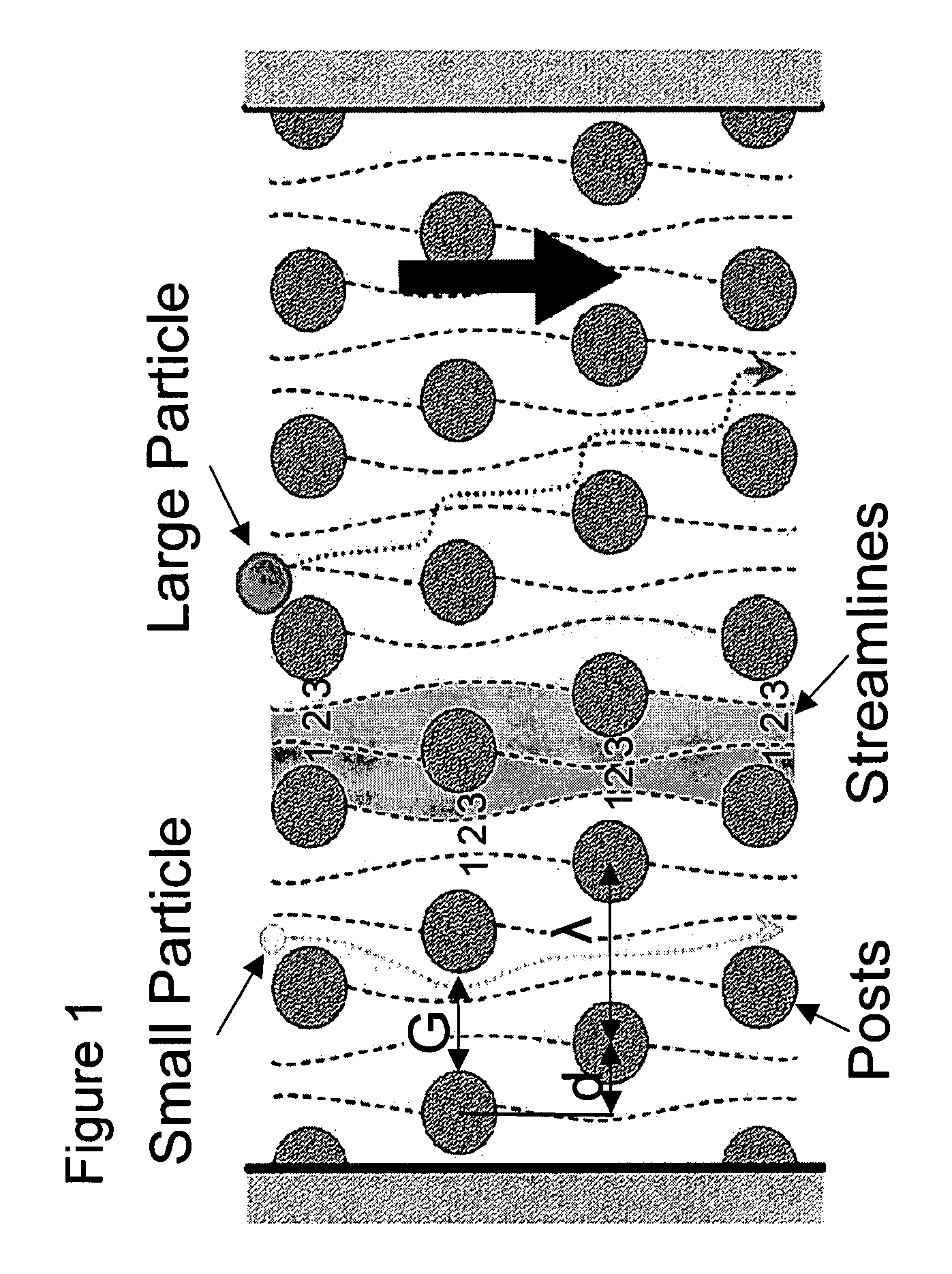 Apparatus and method for continuous particle separation
