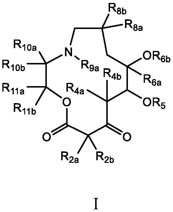 C10-alkylene substituted 13-membered macrolides and uses thereof