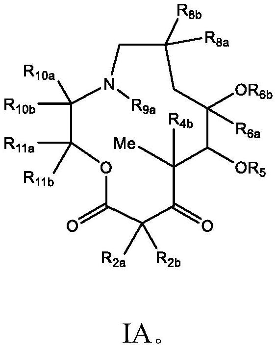 C10-alkylene substituted 13-membered macrolides and uses thereof