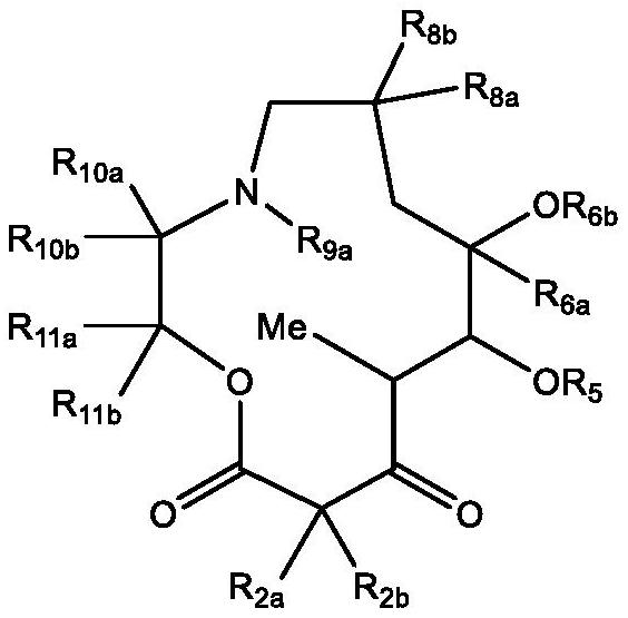 C10-alkylene substituted 13-membered macrolides and uses thereof