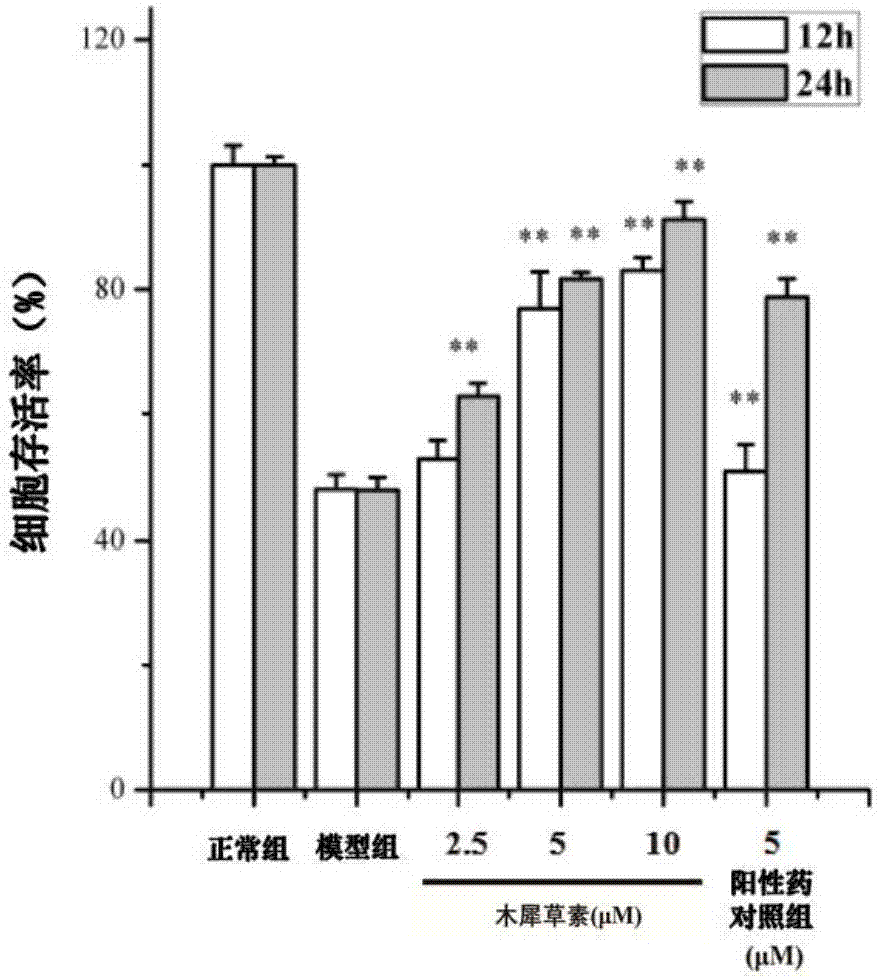 Application of luteolin to preparation of medicine for treating oxidative stress injury of testicular tissue