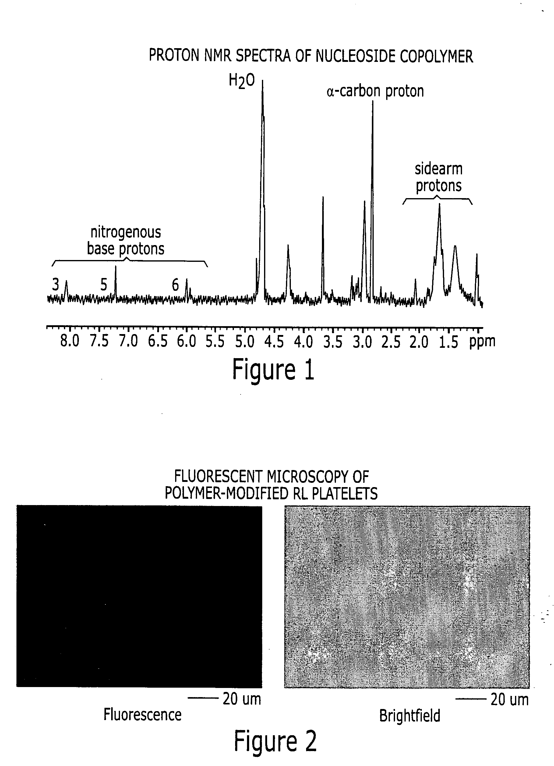 Delivery of compounds with rehydrated blood cells
