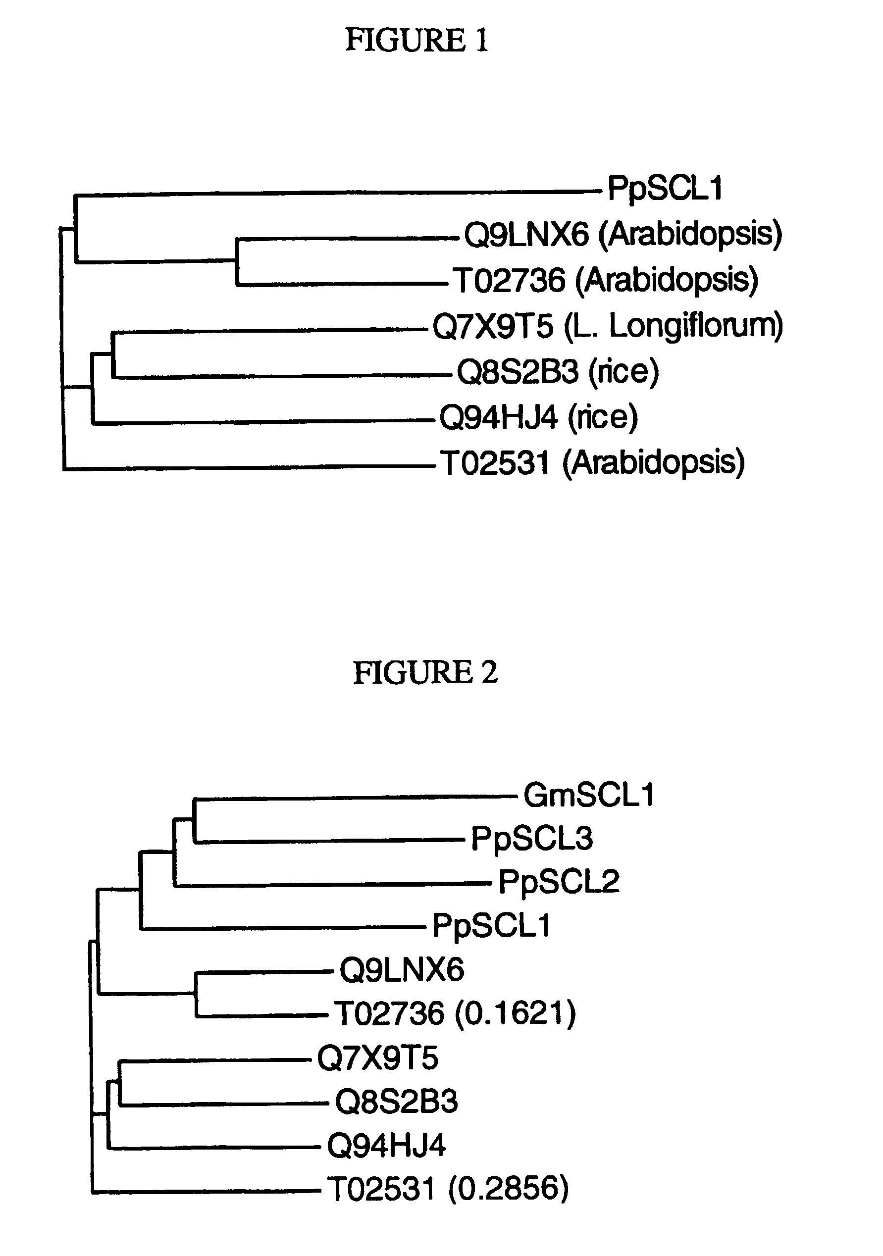 Scarecrow-Like Stress-Related Polypeptides and Methods of Use in Plants