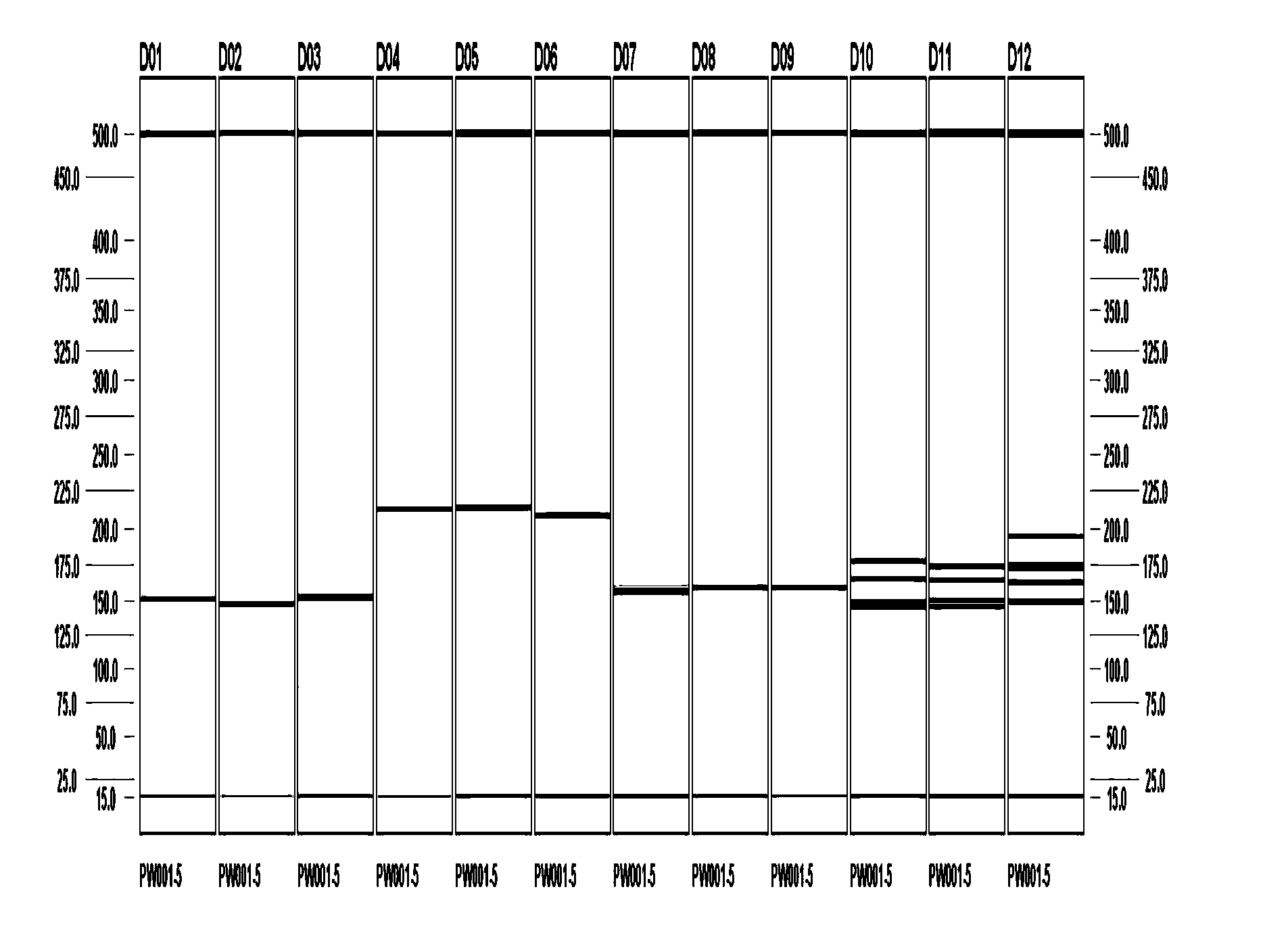 Method for identifying commercial cigarette by applying SSR (Simple Sequence Repeat) molecular marker technique