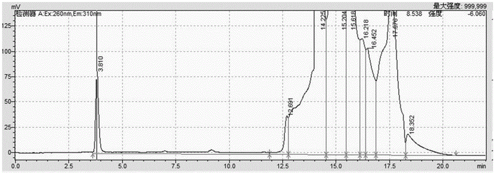 Alendronate sodium powder inhalation used for respiratory drug delivery and preparation method and application thereof