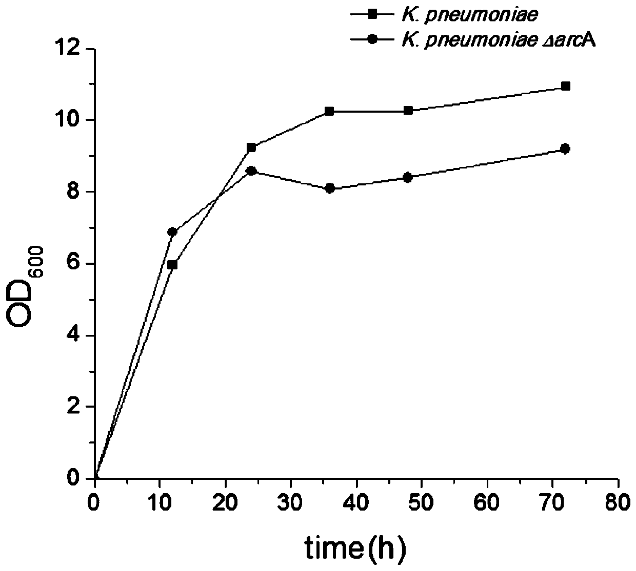 A method for knocking out arca to improve the production of 1,3-propanediol in Klebsiella