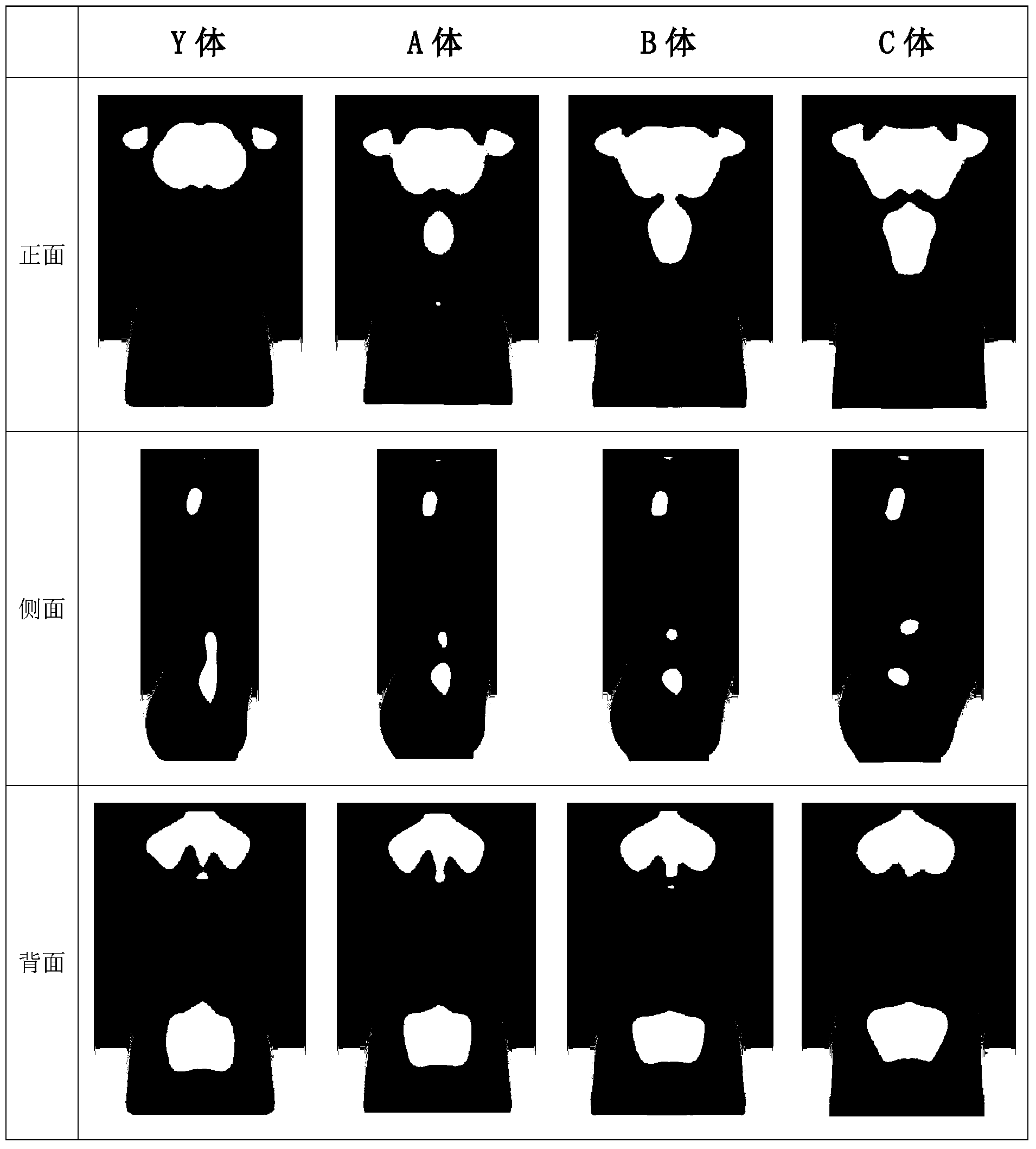 Adult male series mannequin building method based on oval Fourier description