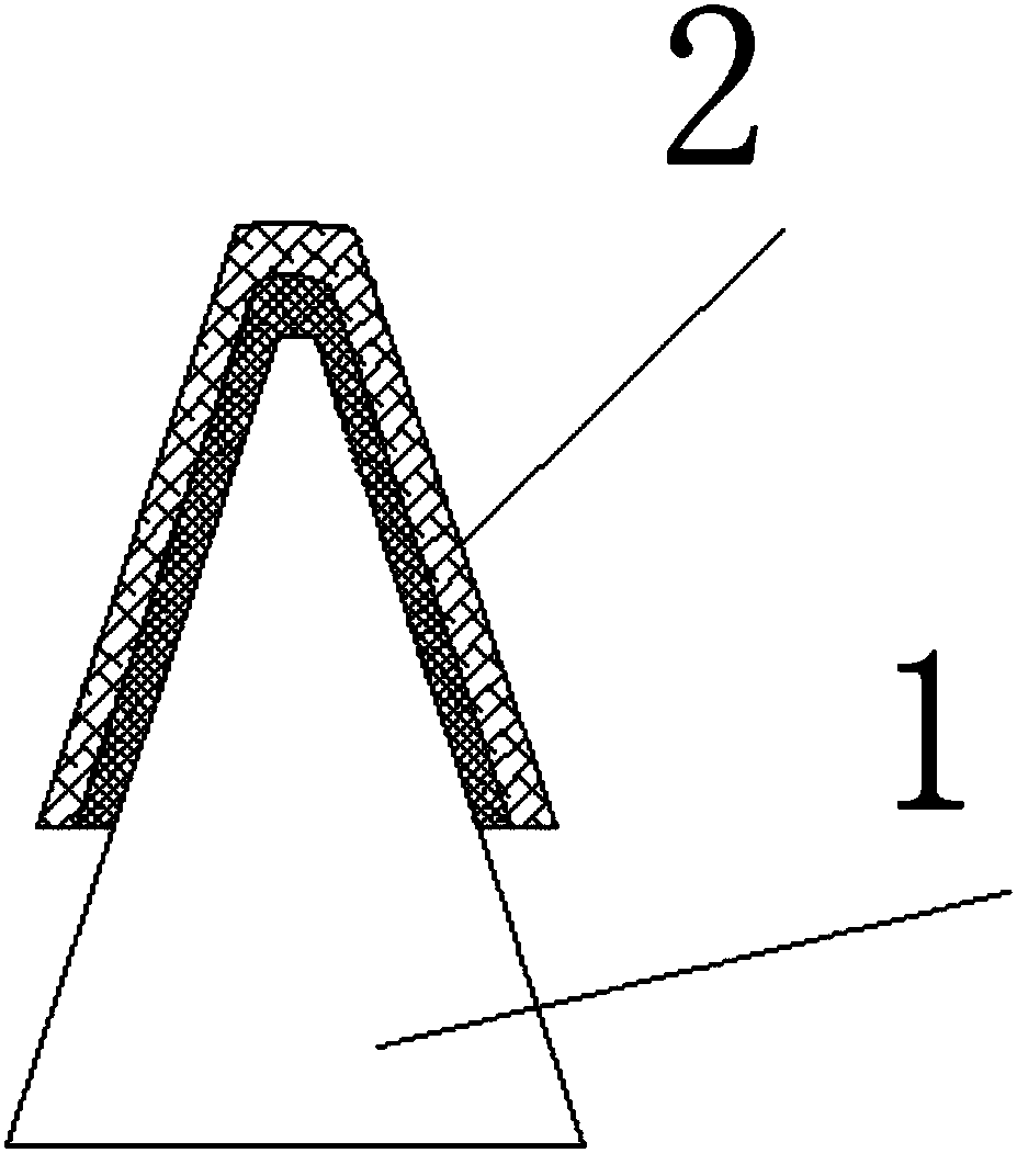 Method of preparing pointed biofilm for improving fracture healing