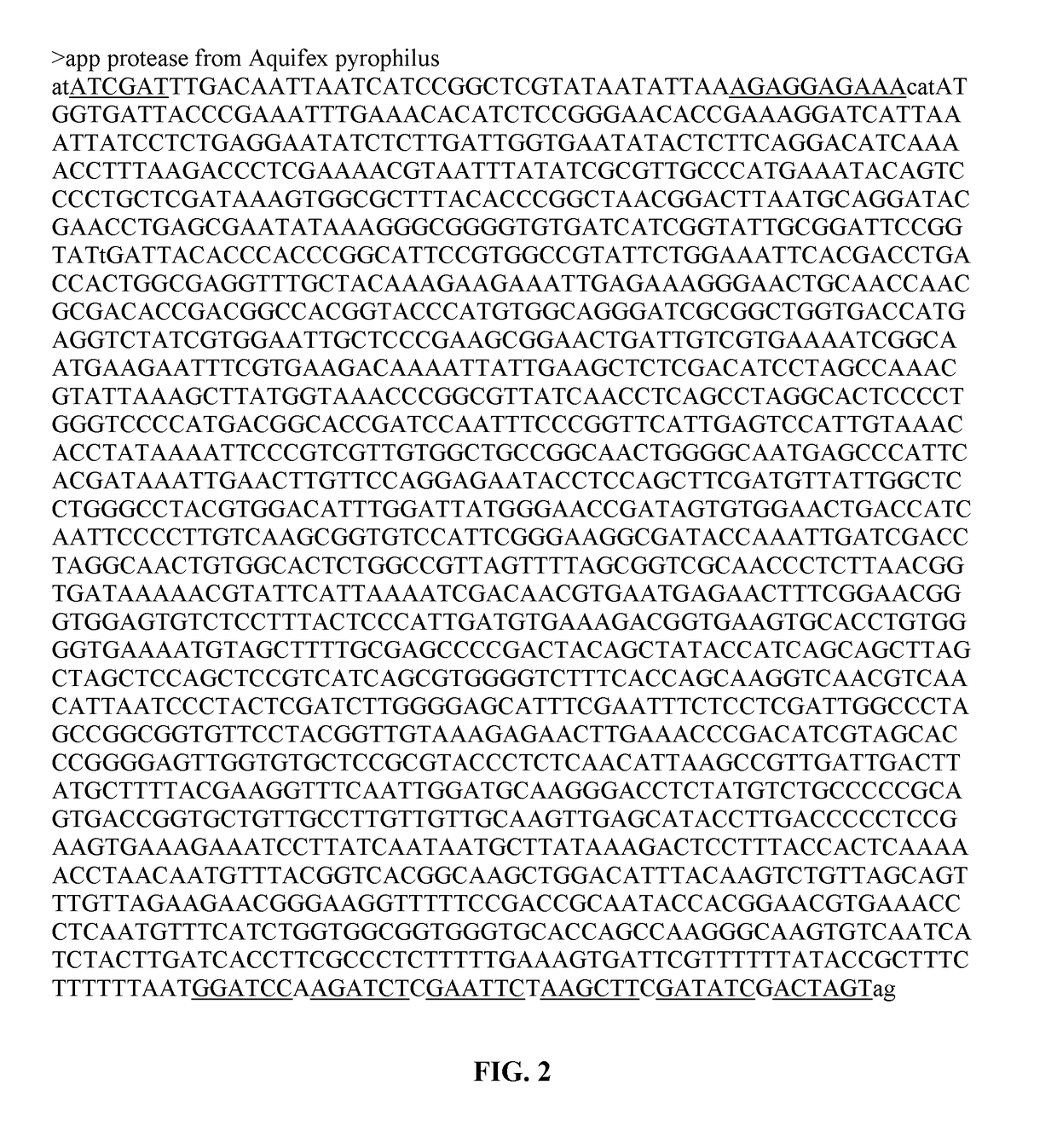 Methods and compositions for high-efficiency production of biofuel and/or biomass