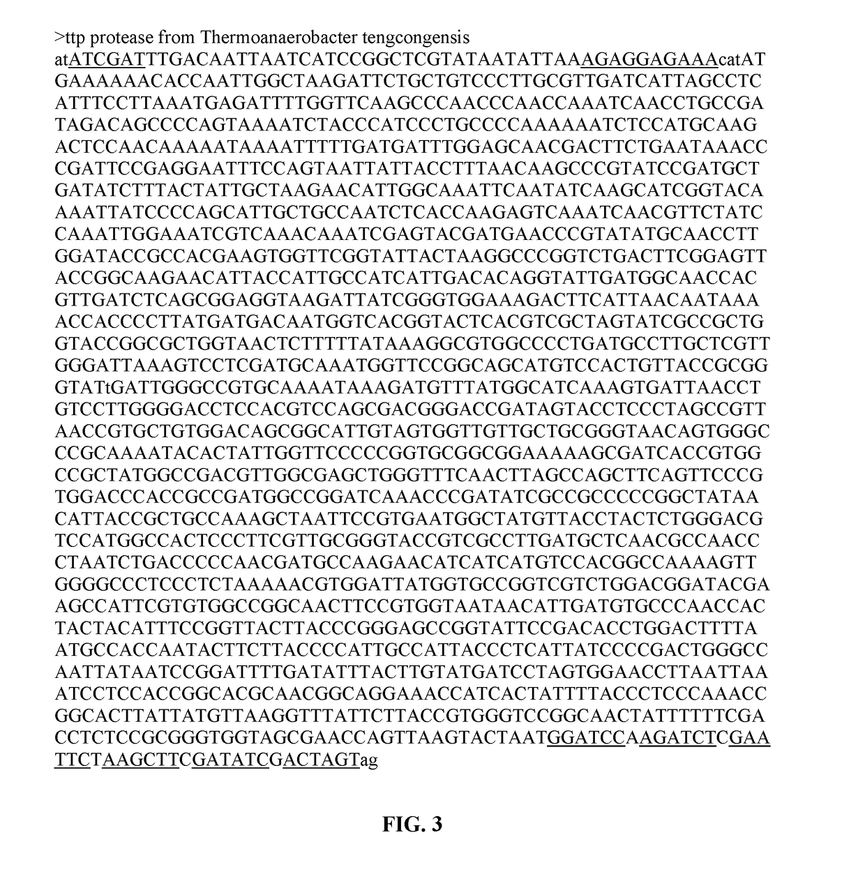 Methods and compositions for high-efficiency production of biofuel and/or biomass