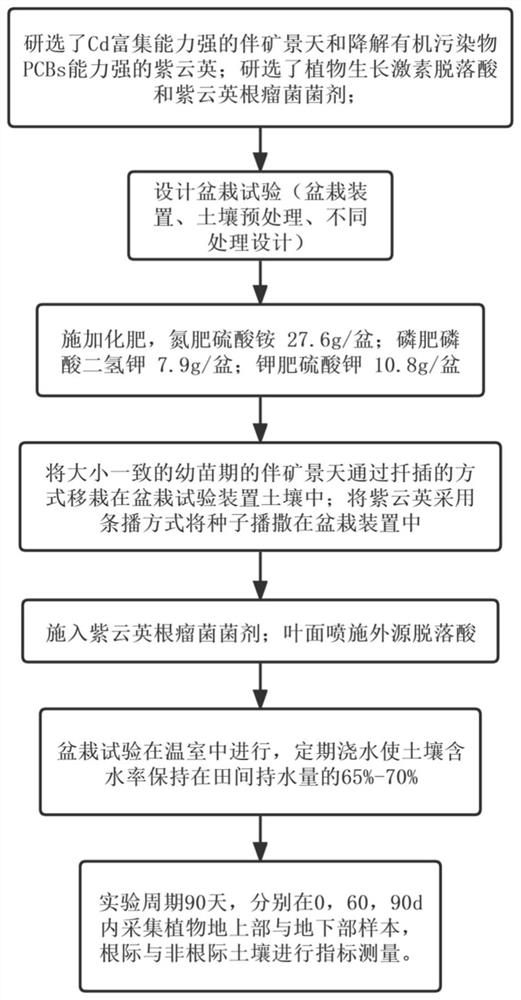 Method for regulating and controlling intercropping of sedum plumbizincicola and astragalus sinicus to restore farmland soil subjected to combined pollution of heavy metal and organic pollutants