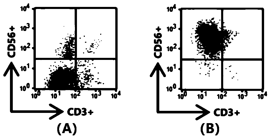 Method for in-vitro culture of NK cells