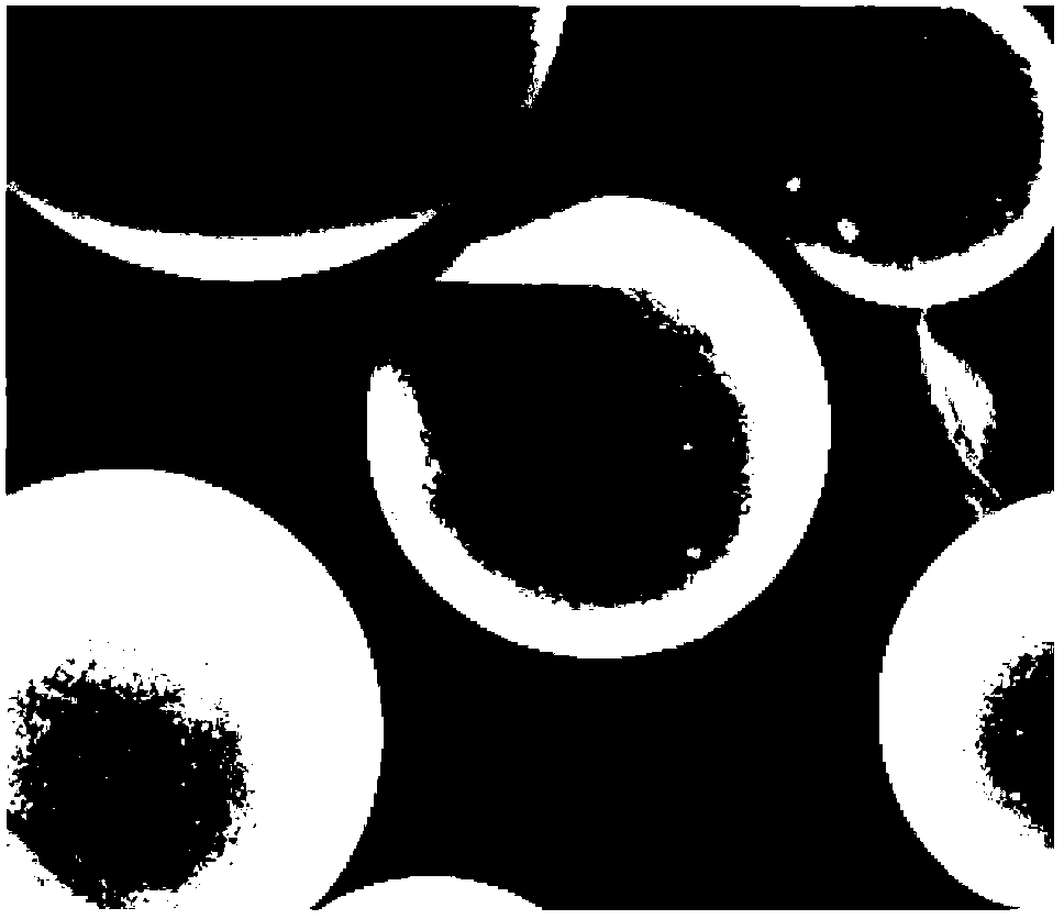 Polymeric adsorbent for removing formaldehyde and preparation method thereof