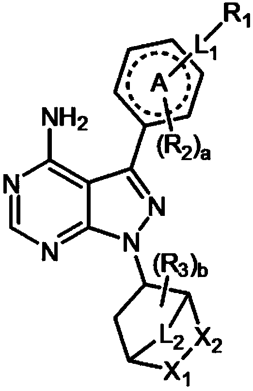 NOVEL 4-AMINOPYRAZOLO[3,4-d]PYRIMIDINYLAZABICYCLO DERIVATIVES AND PHARMACEUTICAL COMPOSITION COMPRISING THE SAME