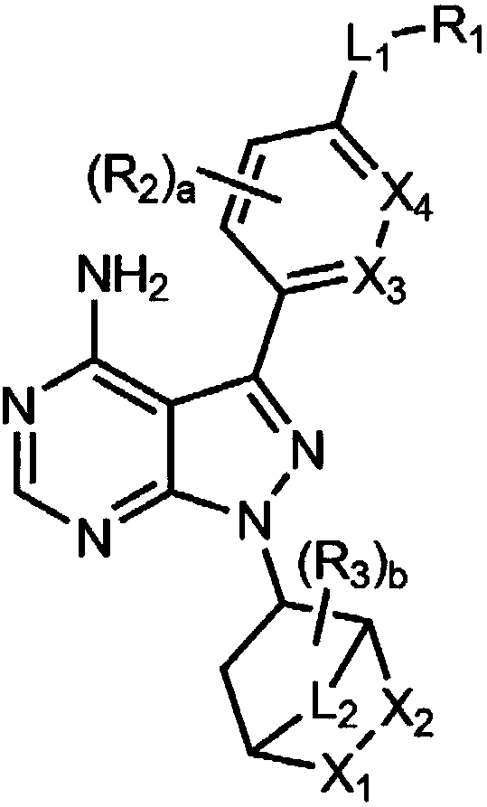 NOVEL 4-AMINOPYRAZOLO[3,4-d]PYRIMIDINYLAZABICYCLO DERIVATIVES AND PHARMACEUTICAL COMPOSITION COMPRISING THE SAME