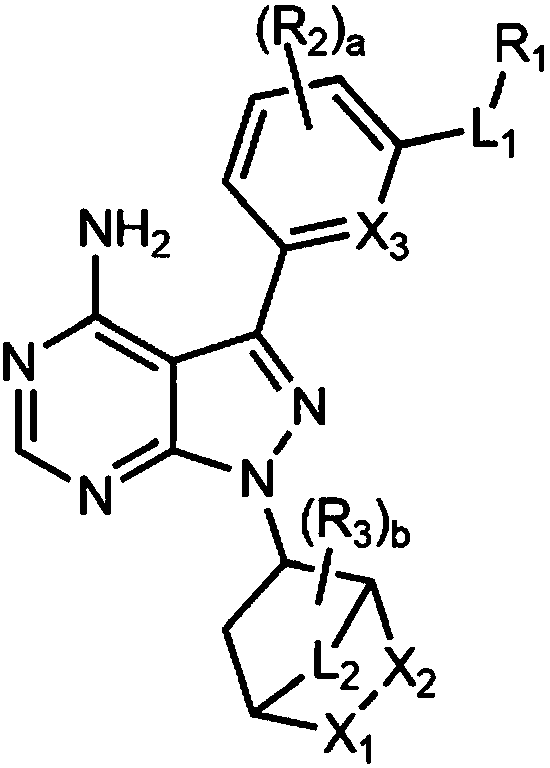 NOVEL 4-AMINOPYRAZOLO[3,4-d]PYRIMIDINYLAZABICYCLO DERIVATIVES AND PHARMACEUTICAL COMPOSITION COMPRISING THE SAME