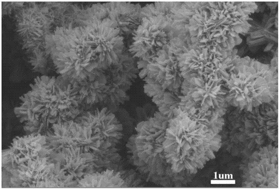 Preparation method and application of a sea urchin-like vanadium-based nano-electrode material