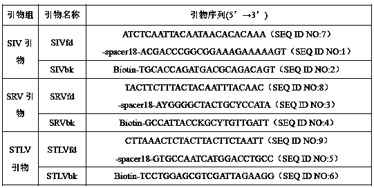 A detection primer set and method capable of simultaneously detecting and distinguishing siv, srv, stlv